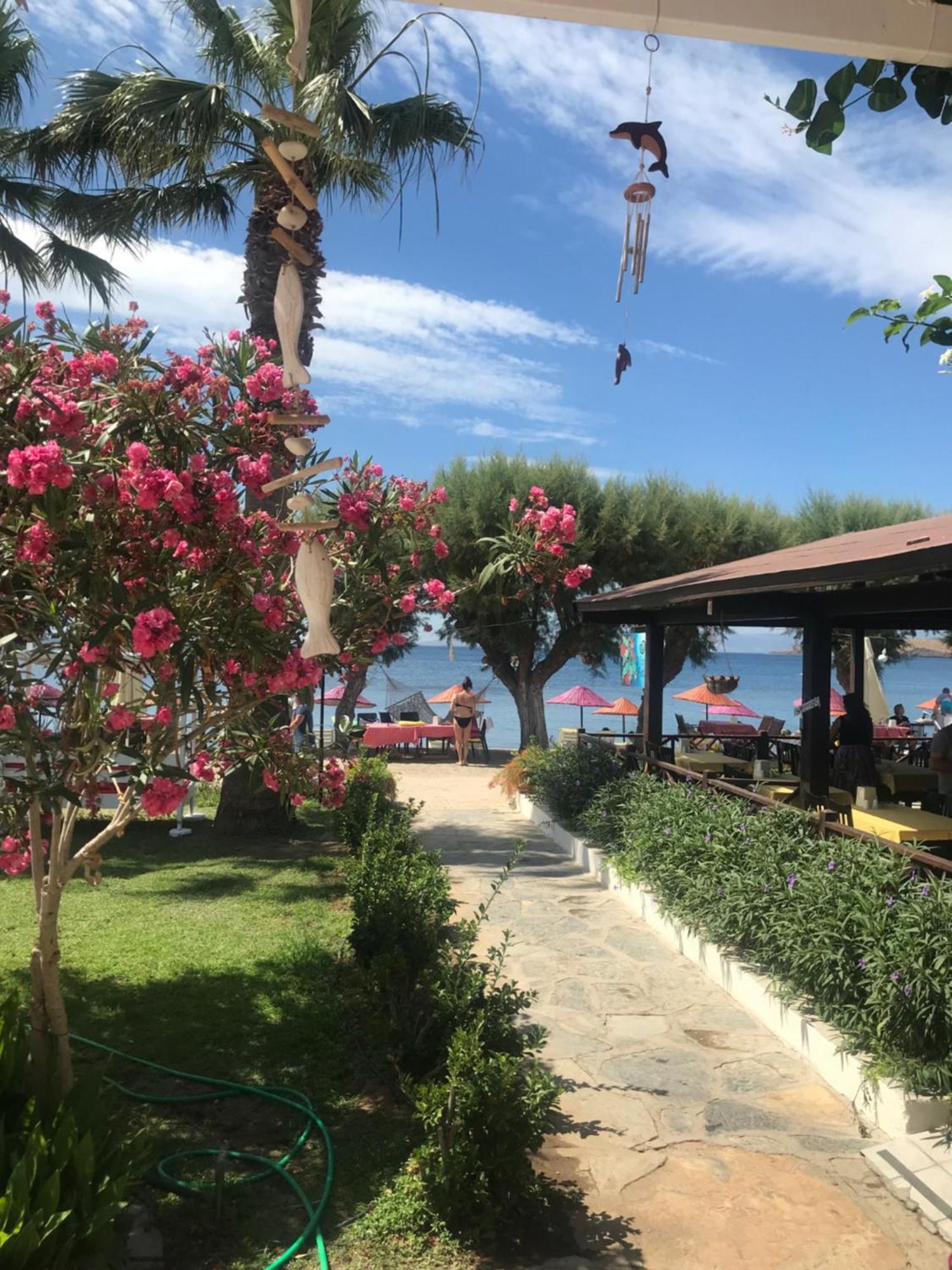 Yilmaz Hotel Ortakent Exteriér fotografie