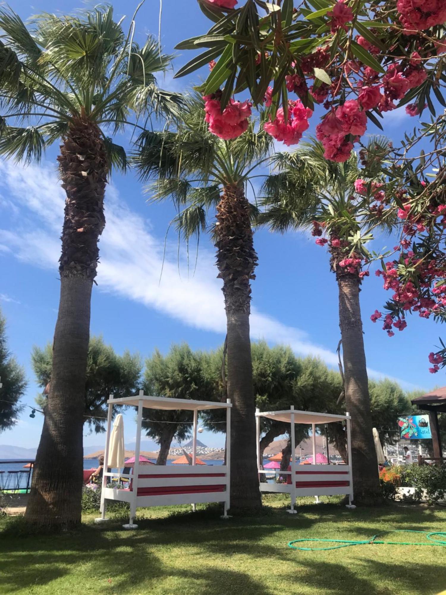 Yilmaz Hotel Ortakent Exteriér fotografie