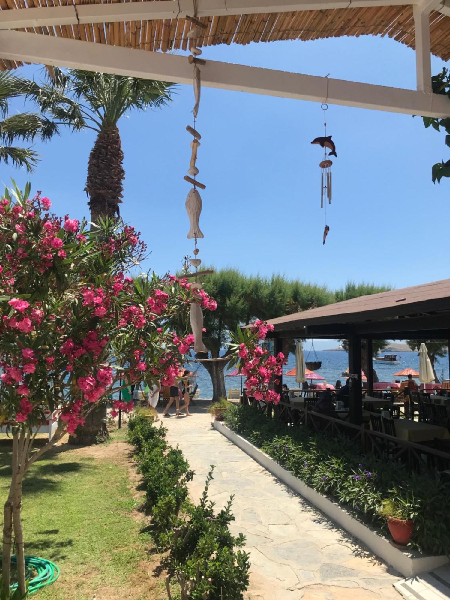 Yilmaz Hotel Ortakent Exteriér fotografie