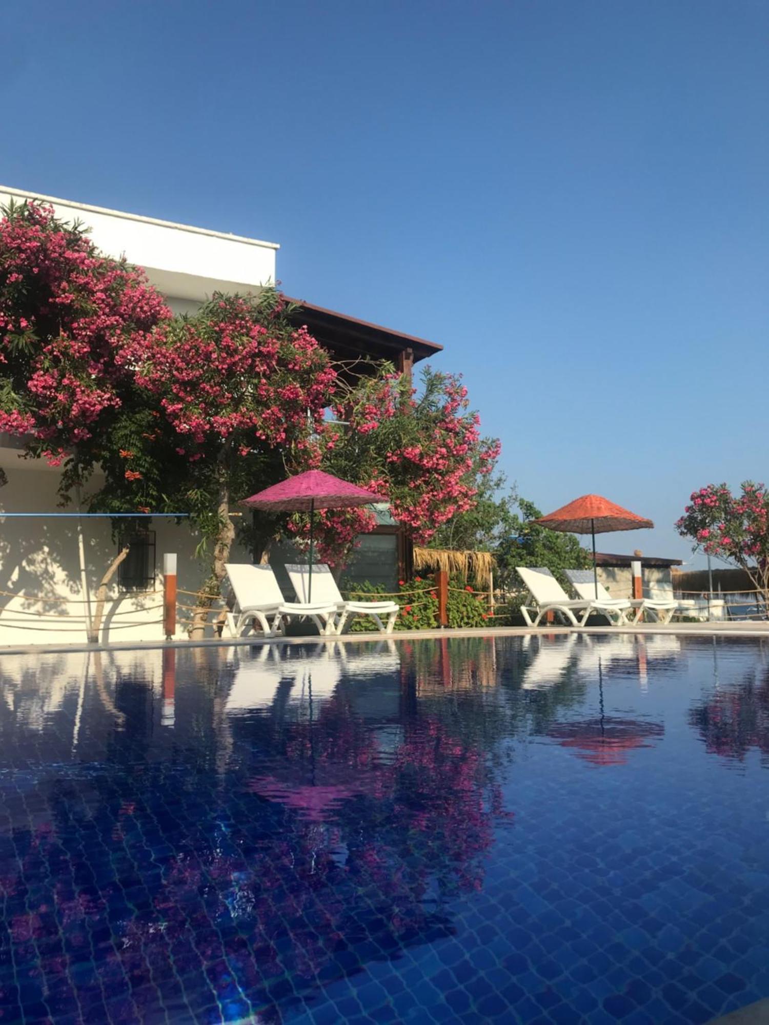 Yilmaz Hotel Ortakent Exteriér fotografie