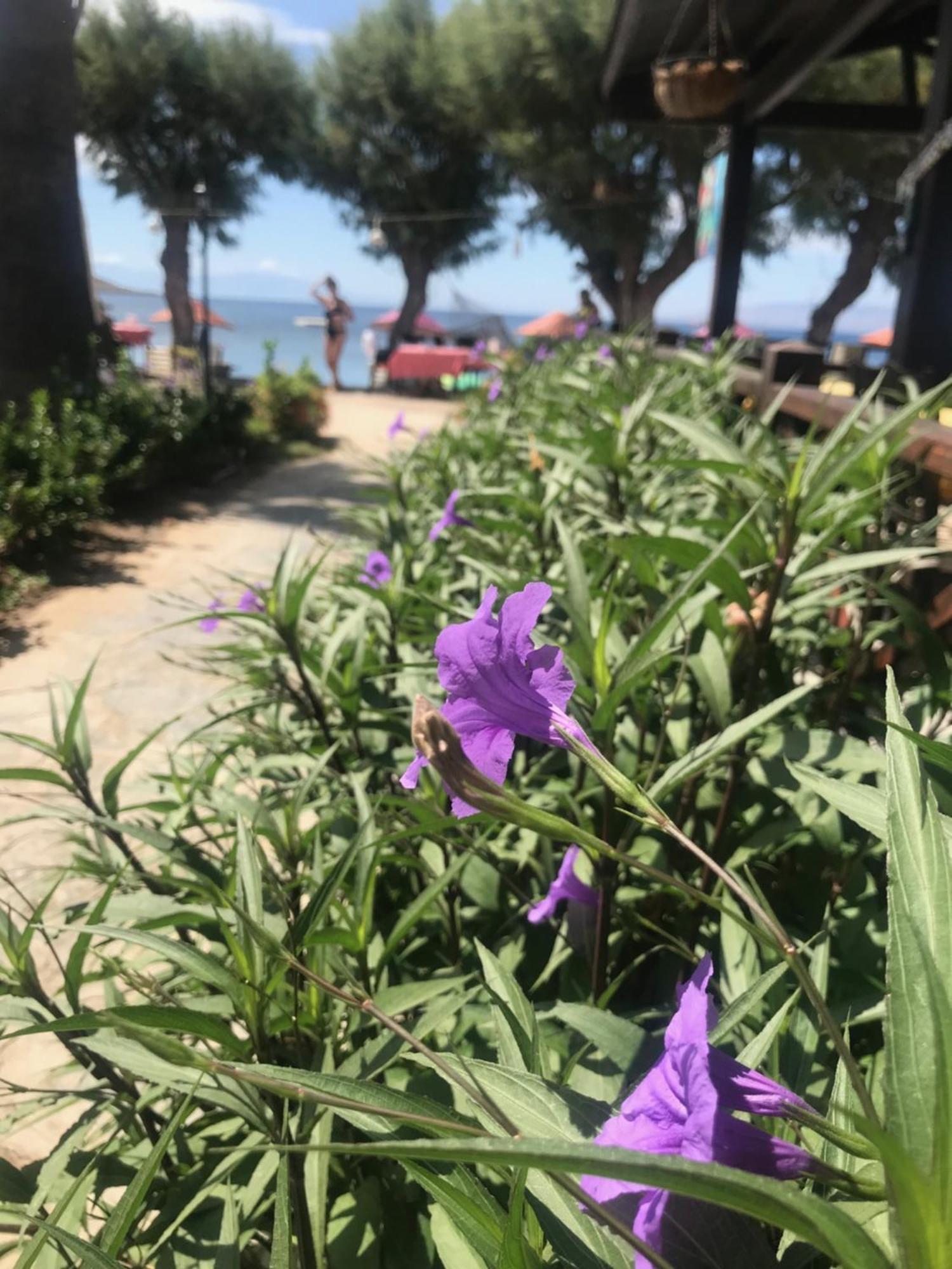 Yilmaz Hotel Ortakent Exteriér fotografie